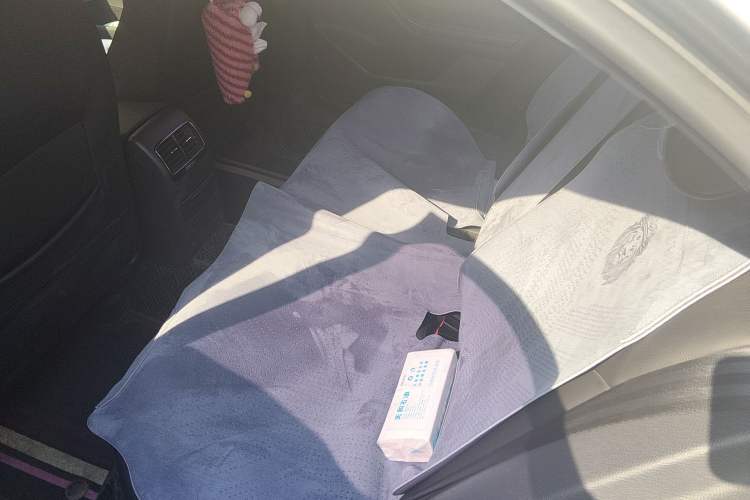 Used Volkswagen Sagitar 2018 280TSI DSG Comfort Model Left Rear Seat