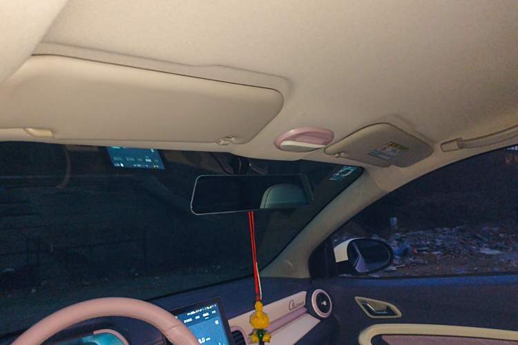 Used Chery Little Ant 2022 Sweet Pink Edition Half-Sugar Version Lithium Iron Phosphate 30 kW 301 km
