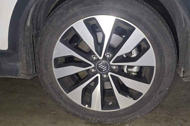 Used WM Motor EX5 2020 EX5-Z Fun Dynamic Edition
