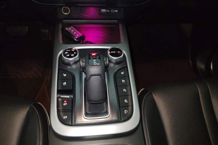 Used Tank 300 2021 City Edition 2.0T—Truly Stylish