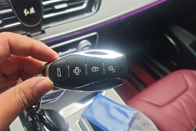 Used Hongqi HS5 2025 2.0T Two-Wheel-Drive Xuan Ying Edition