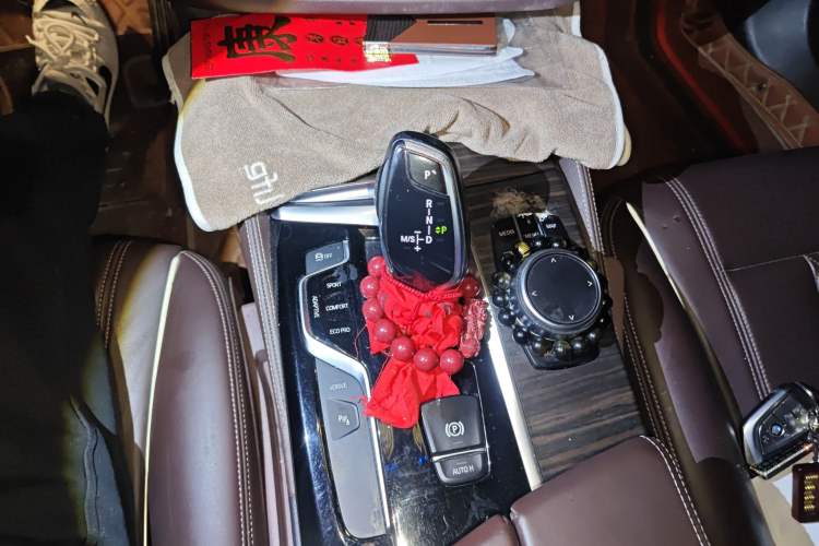 Used BMW 5 Series New Energy 2018 530Le Luxury Package