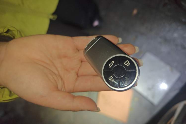 Used ORA Good Cat 2023 401 km Standard Range Prestige Version Lithium Iron Phosphate