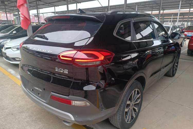 Used Leopaard CS10 2019 2.0T Automatic Drive Yue Edition
