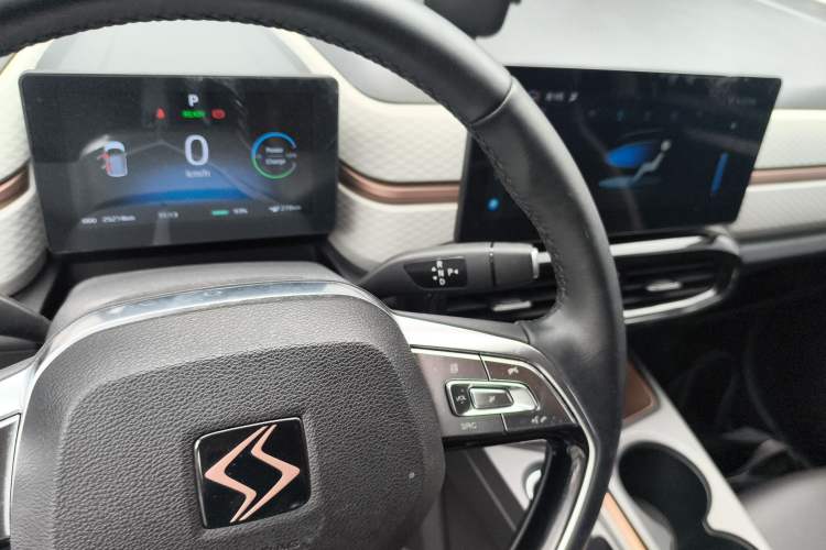 Used SOL E10X 2022 Flower Fairy Style Baby's Breath