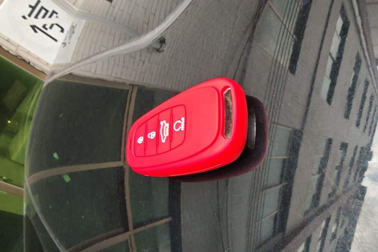 Used Hongqi H9 2020 2.0T Smart Connect Flagship Edition
