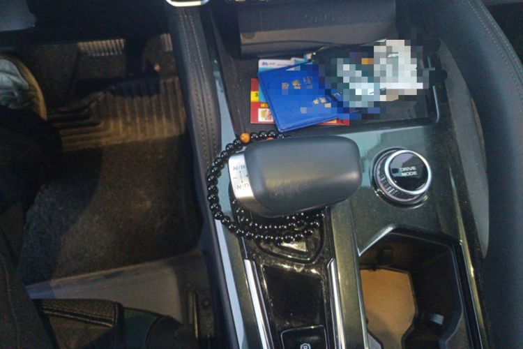 Used Geely Auto Monjaro L 2021 2.0TD DCT EVO Two-Wheel Drive Prestige Version