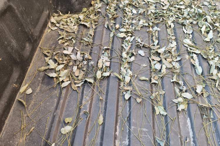 Used JAC T6 2016 2.8T Diesel Creator Edition Comfort Long-Wheelbase HFC4DA1-2C
