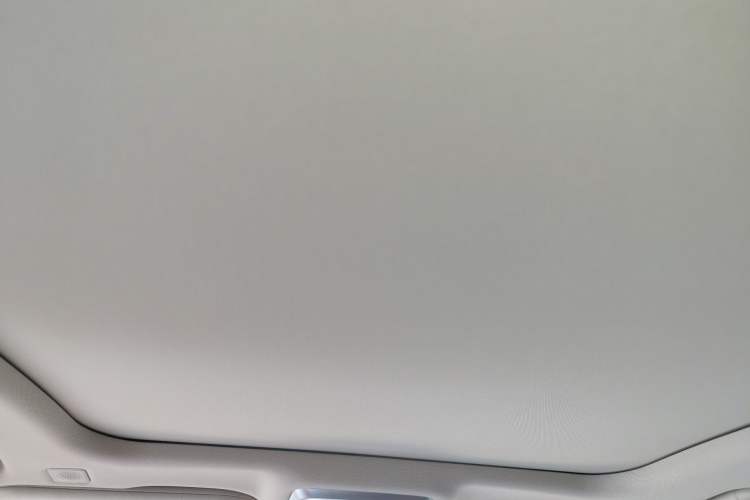 Used Hongqi H9 2023 2.0T Smart Connect Flagship Edition