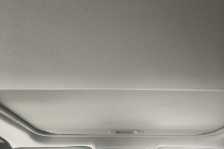 Used Toyota Wildlander 2022 2.0L CVT 4x4 Luxury PLUS Edition Headliner