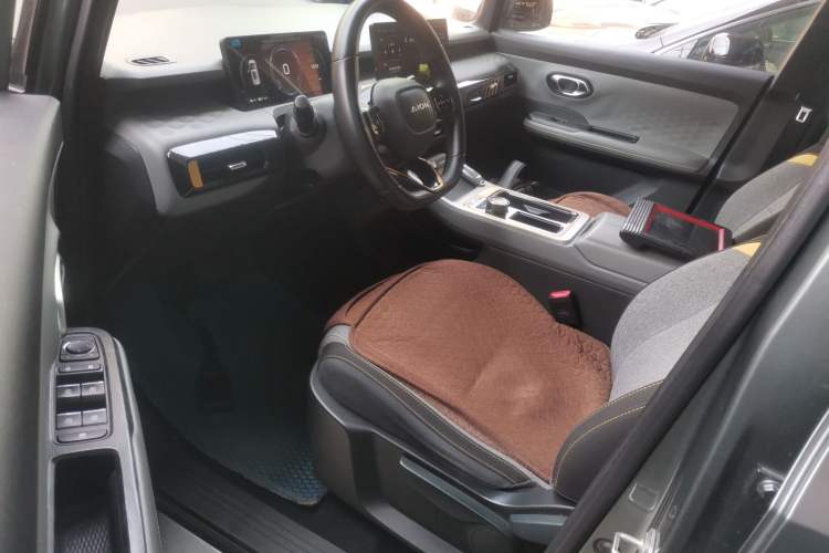 Used AION Y 2022 70 Enjoyment Edition Lithium Iron Phosphate