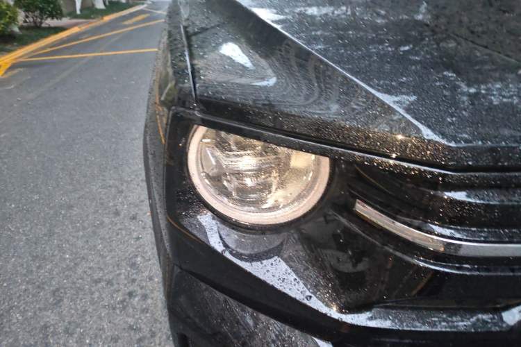 Used Haval H Dog 2026 Model 2.0T Trendy Wilderness Edition