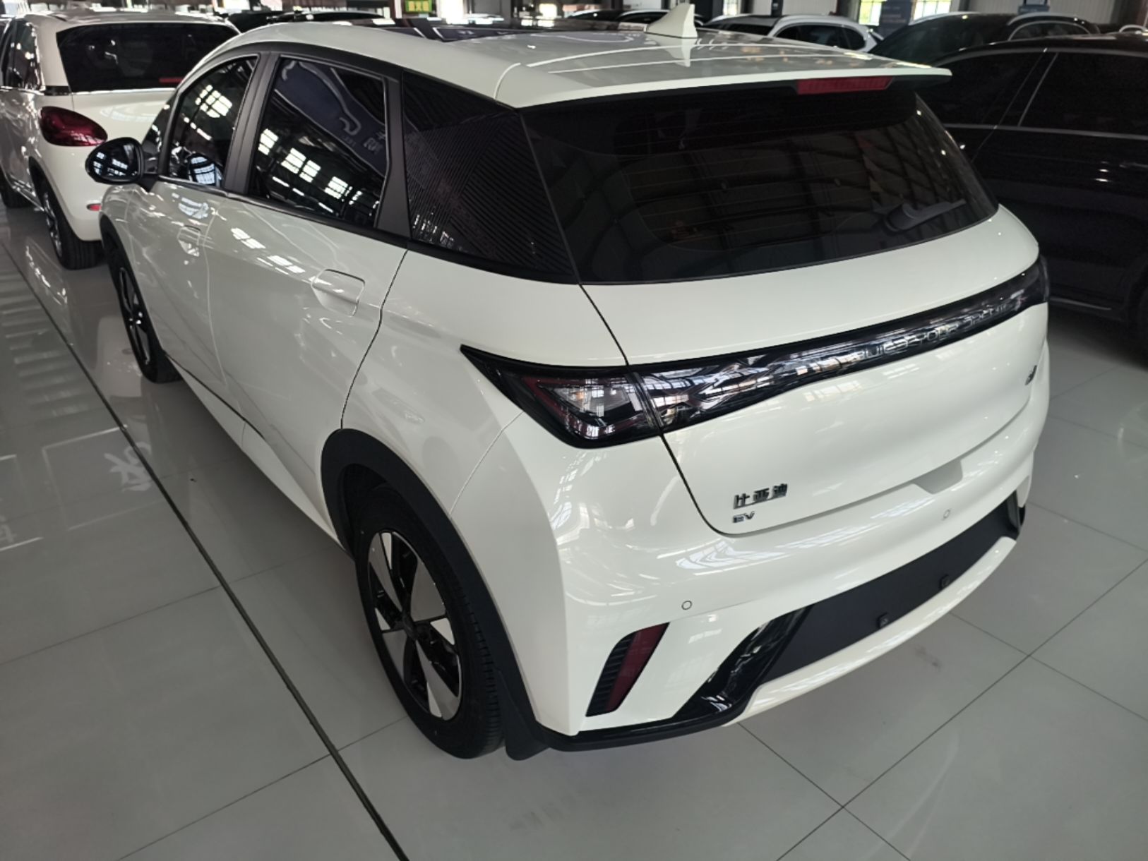 BYD Dolphin 2023 420 km Fashion Edition — снимка 4