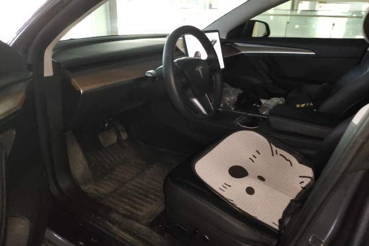 Used Tesla Model 3 2022 Rear-Wheel-Drive Version Driver Seat