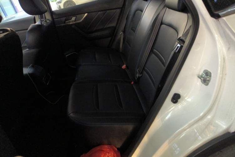 Used Venucia T60EV 2020 AI Enjoyment Model