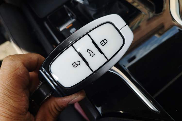 Used Hongqi E-QM5 2024 610 km PLUS