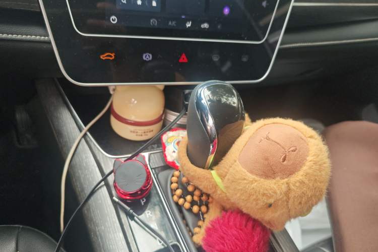 Used Venucia D60 2021 PLUS 1.6L XL CVT Yue Ling Edition