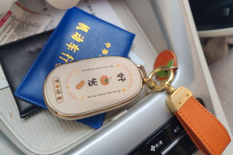 Used Geely Galaxy Geome 2025 UP 410km Exploration Edition Vehicle Key