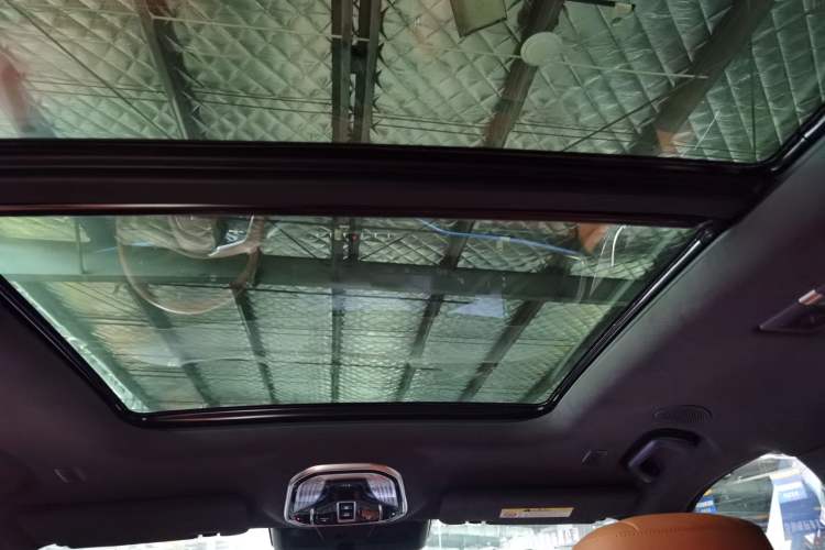 Used Wey Lanshan 2023 Four-Wheel Drive Ultra-Long Range Version Headliner