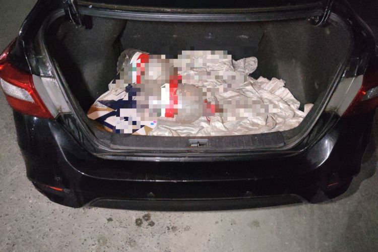 Used Nissan Sylphy 2019 1.6XE CVT Comfort Edition China V Standard