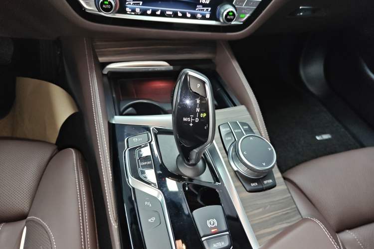 Used BMW 5 Series 2020 530Li Luxury Edition Premium Package