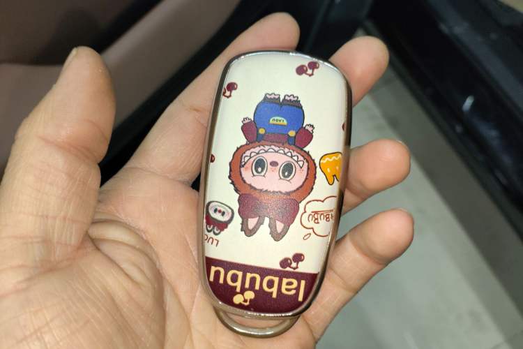 Used Chery Tiggo 8 L 2025 Model 2.0T Two-Wheel Drive Changhong Edition—5 Seaters