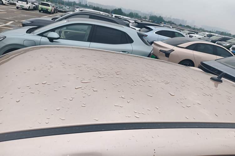 Used ORA Black Cat 2021 301km Cute Pet Edition Roof