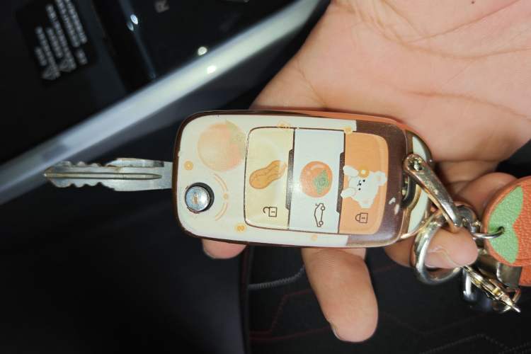 Used CHANGAN Benni 2015 1.4L IMT Luxury Model China IV Vehicle Key