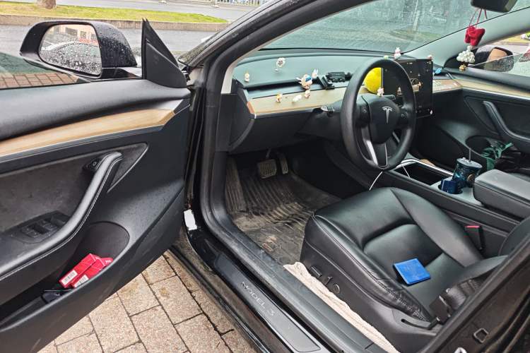 Used Tesla Model 3 2022 Rear-Wheel-Drive Version