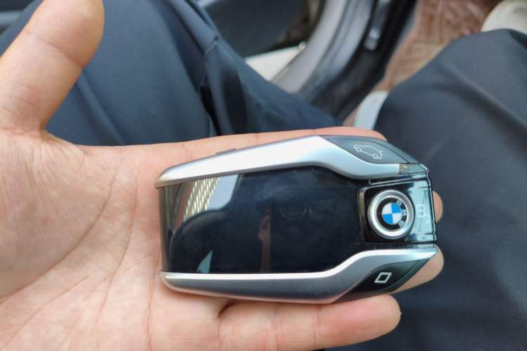 Used BMW 5 Series New Energy 2019 530Le Luxury Package
