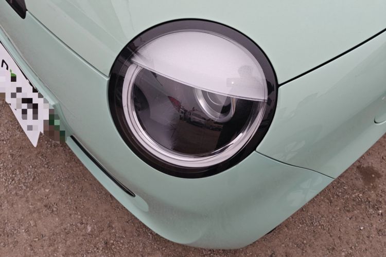 Used Qiyuan Lumin 2023 205km Xiangqin Version