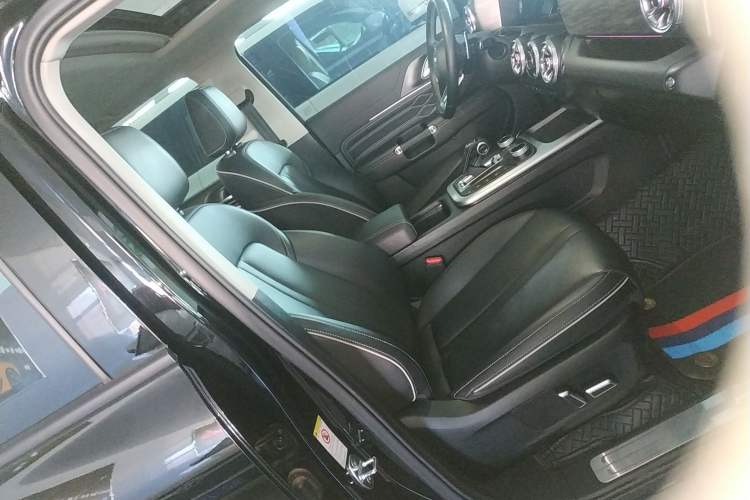 Used Tank 300 2024 2.0T Conqueror