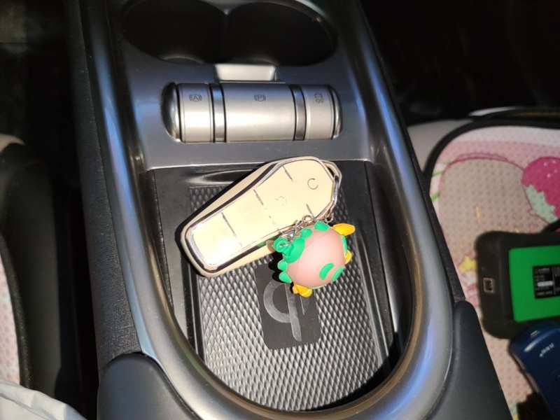Used BYD Dolphin 2021 405 km Fashion Edition — 8