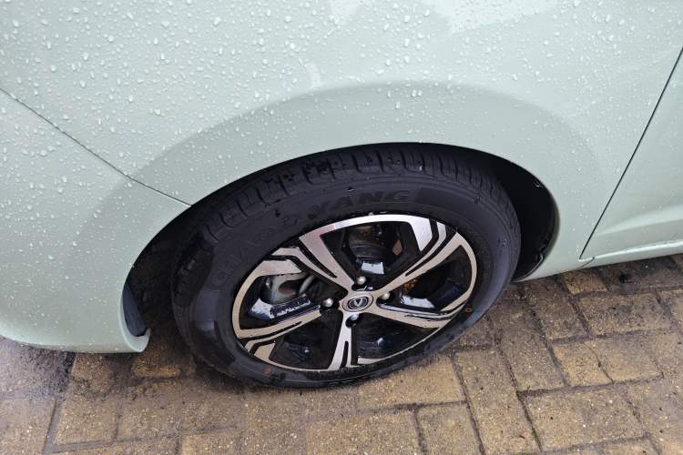 Used Oshan Benni E-Star 2020 Heart Edition Lithium Iron Phosphate (31.95 kWh)
