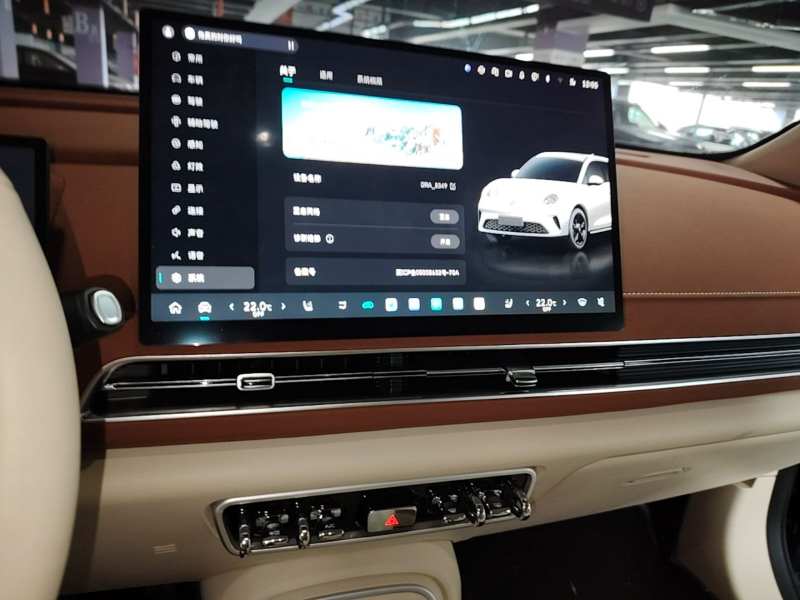Used ORA Good Cat 2025 Model, 430 km Prestige Version — 13