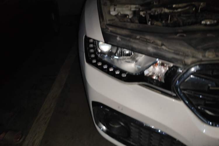 Used Haval H6 Coupe 2018 Blue Label 1.5T Automatic Two-Wheel Drive Luxury Model
