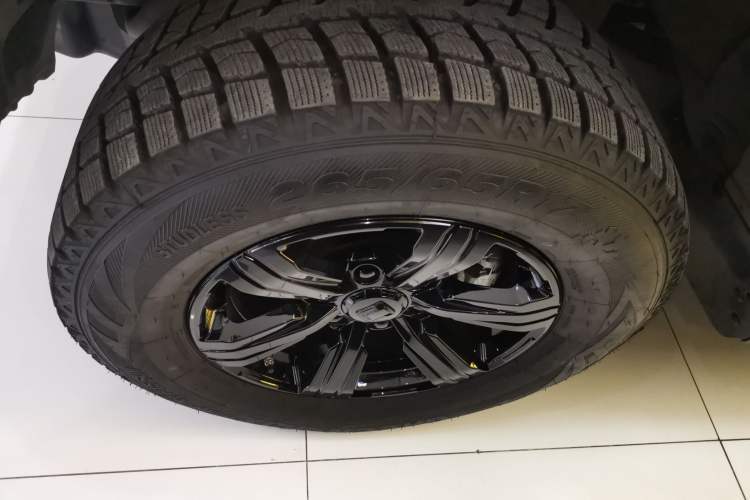 Used Tank 300 2024 2.0T Challenger