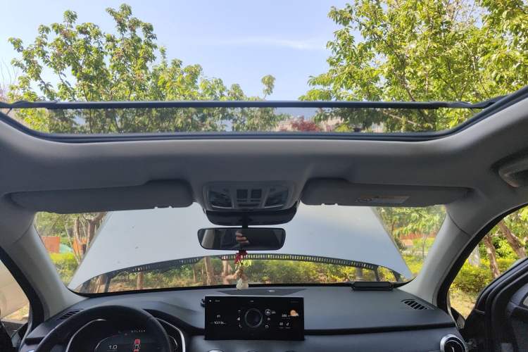 Used Wey VV6 2021 2.0T Two-Wheel Drive Smart Protection+ Headliner