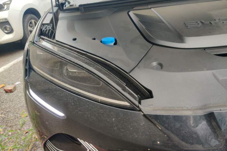 Used BYD Seal 2025 510 Standard Edition