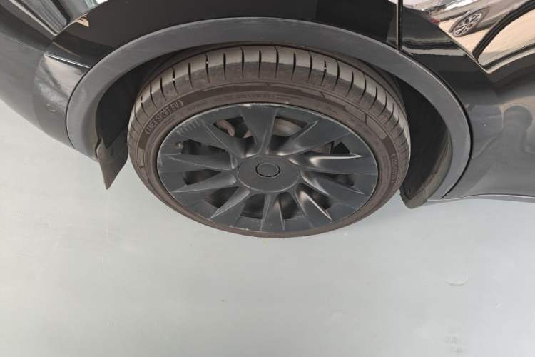 Used Tesla Model Y 2021 Standard Range Rear-Wheel Drive Version
