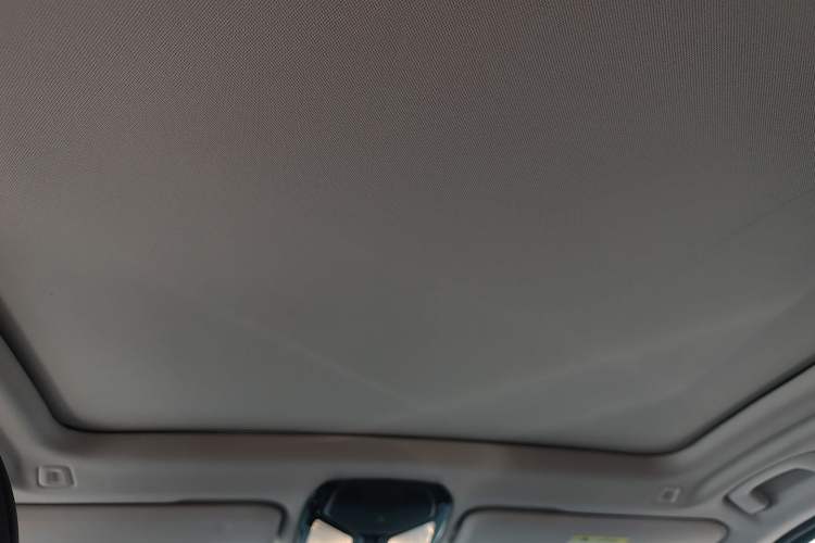 Used BMW iX3 2022 Leading Type Headliner