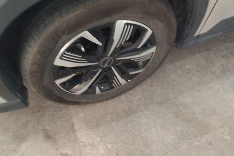 Used BYD Sealion 05 DM-i 2025 DM-i Smart Drive 75KM Luxury Model