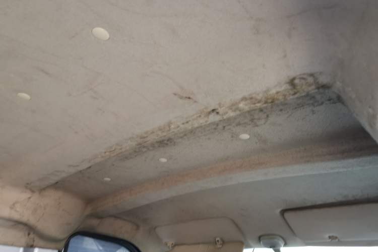 Used CHANGAN KAICHENG Ruixing M60 2020 1.5L Standard Version China VI 6-Seater DAM15KR Headliner