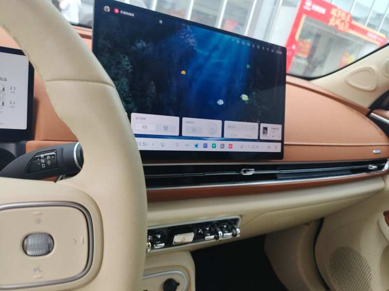 Used ORA Good Cat 2025 Model, 430 km Prestige Version — 14