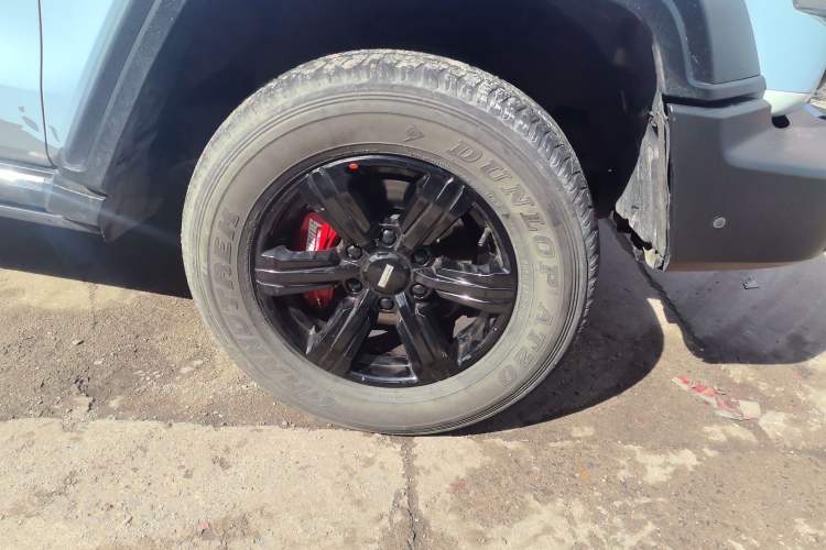 Used Tank 300 2021 2.0T Monet Tribute Limited Edition