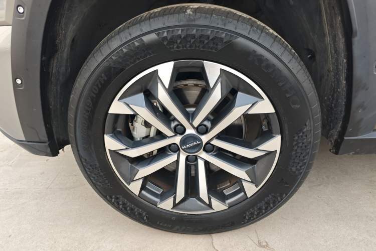 Used Haval H Dog 2023 2.0T Two-Wheel Drive Chaoye Version Plus
