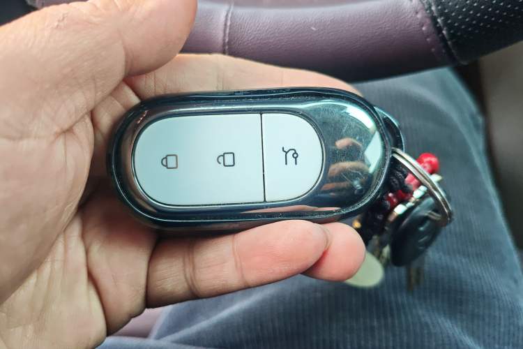 Used Leapmotor C11 2023 Pure Electric 500 Smart Edition
