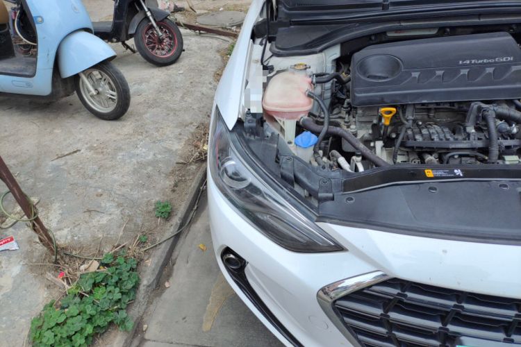 Used Hyundai Elantra (6th Generation / Lingdong) 2019 1.4T Dual-Clutch Xuan Dong · Dynamic Model