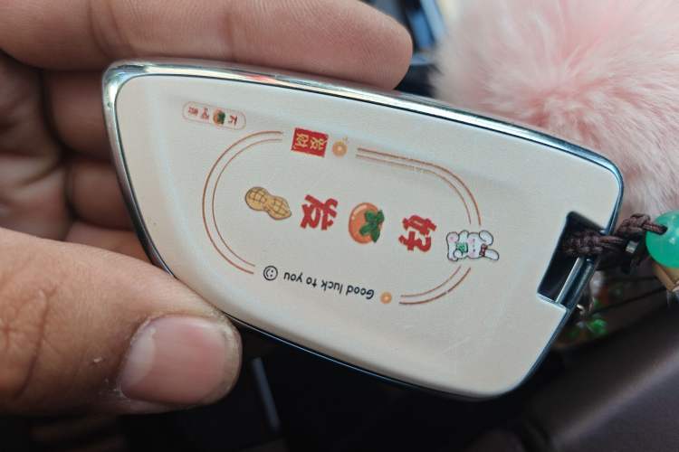 Used BMW 5 Series 2019 530Li Leading Model Luxury Package Vehicle Key