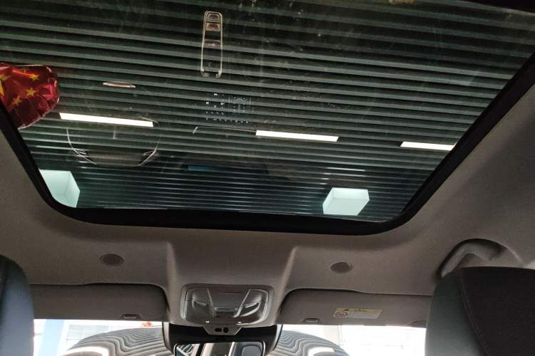 Used Wey Latte DHT 2022 1.5T DHT Extra-Large Cup
